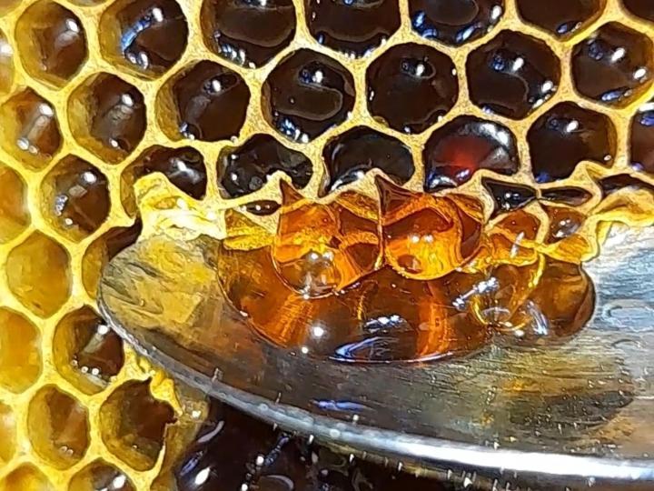 Apartmán Honey-House “Kastrioti” Përmet Exteriér fotografie