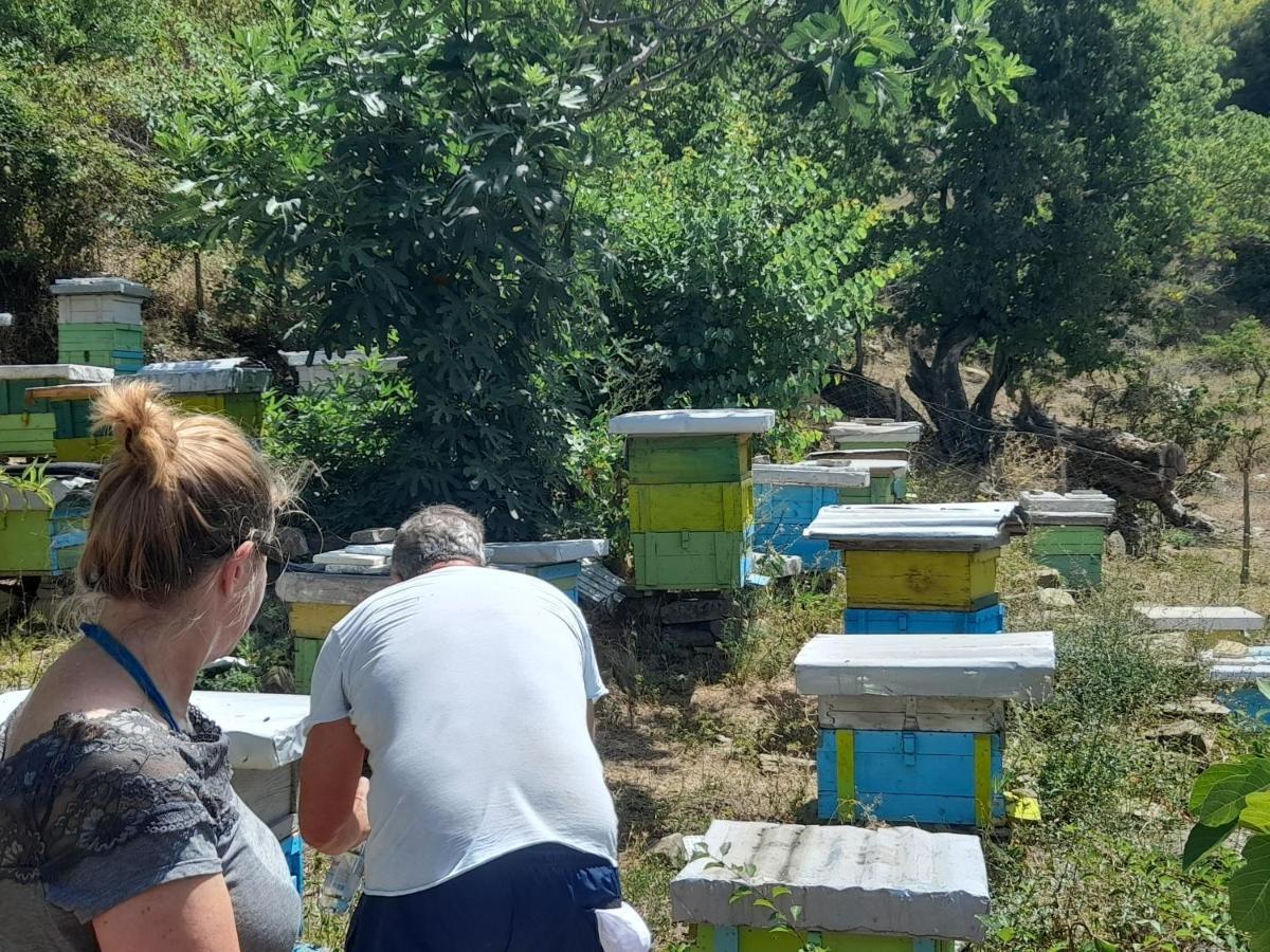 Apartmán Honey-House “Kastrioti” Përmet Exteriér fotografie