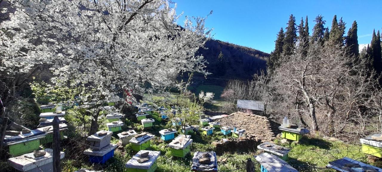 Apartmán Honey-House “Kastrioti” Përmet Exteriér fotografie