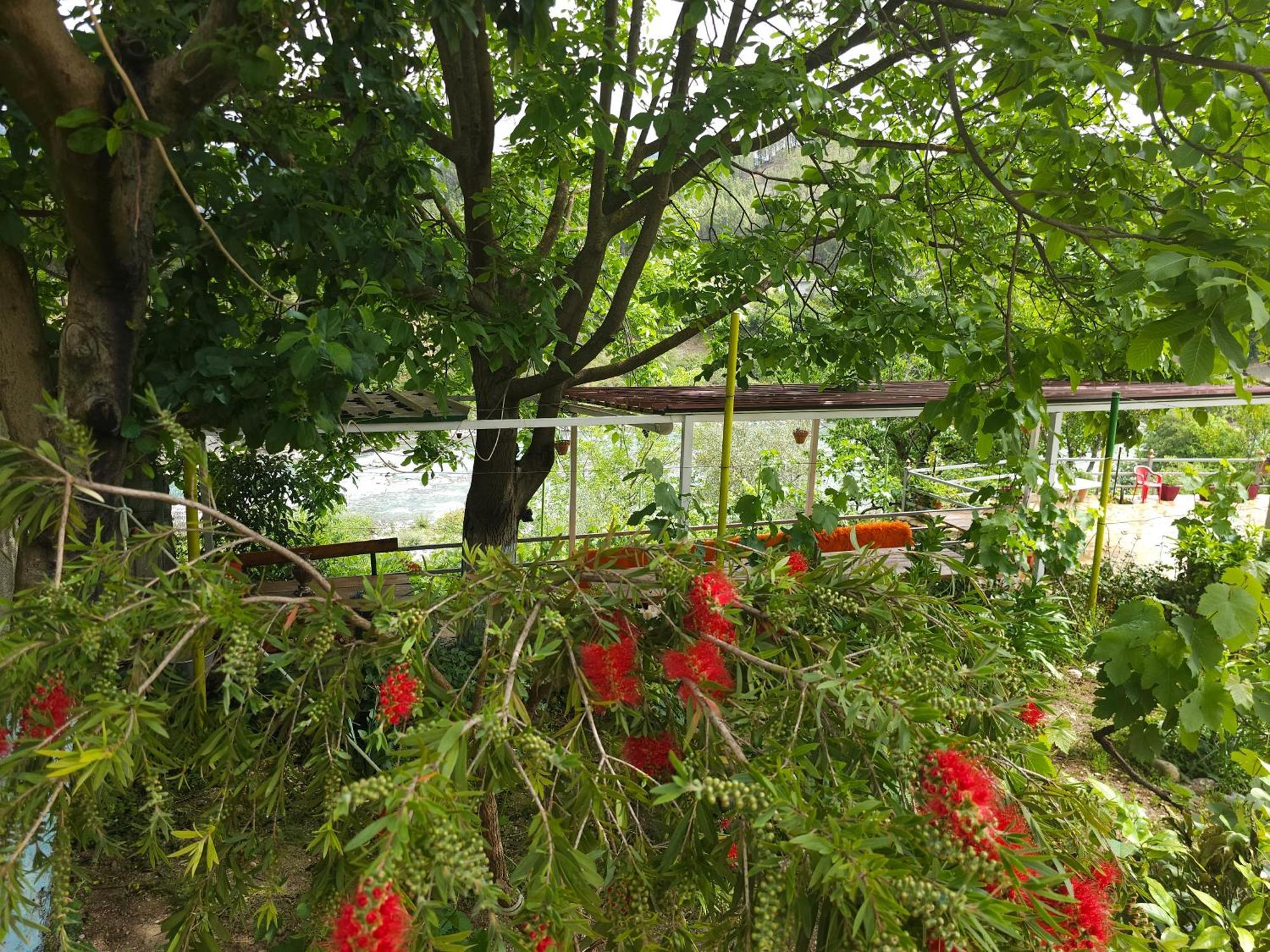 Apartmán Honey-House “Kastrioti” Përmet Pokoj fotografie